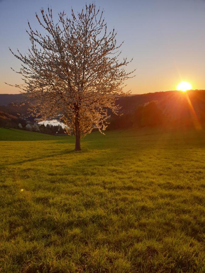 Apartment Garden & Hill Limburg Simmerath